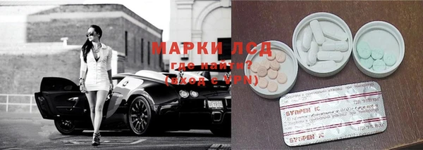 прущие грибы Заволжье