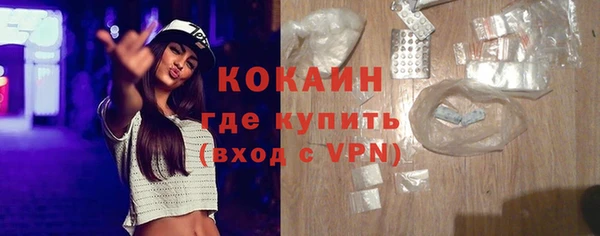прущие грибы Заволжье