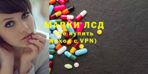 прущие грибы Заволжье